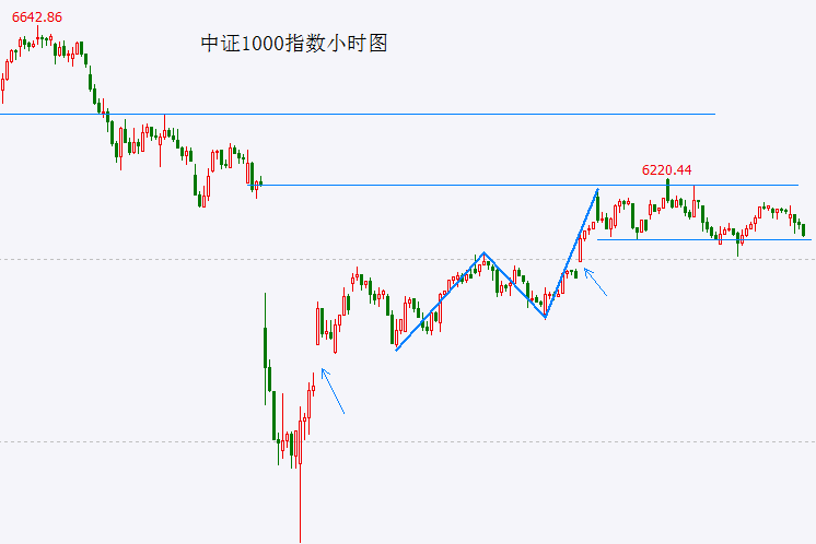 环江艺术涂料市场新宠，林德运营中心璀璨亮相